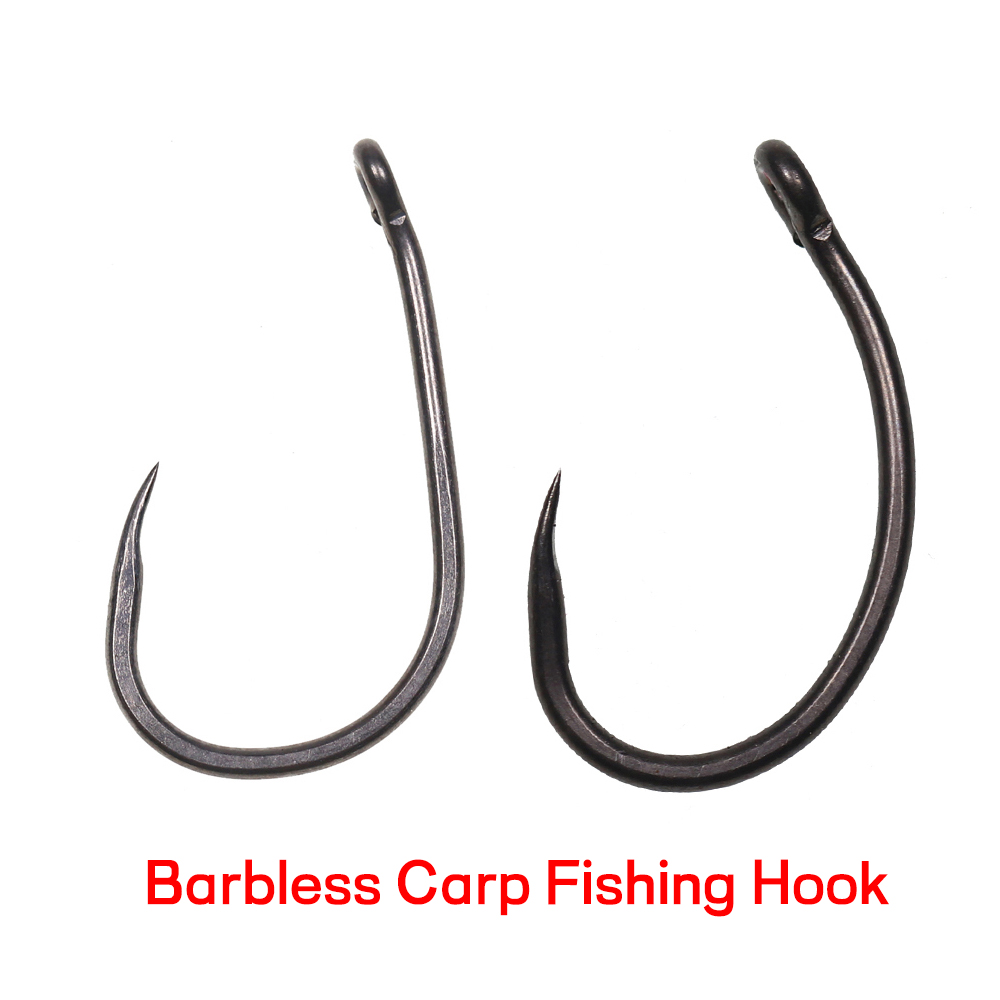 Fishing Hook Assortment - 50 anzuelos de pesca de carpa