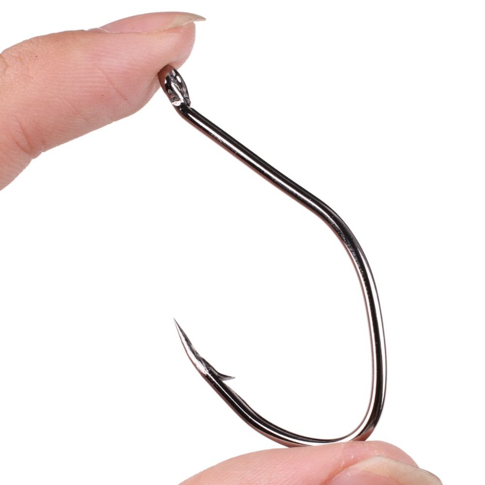 Anzuelos de pesca de pez gato  - Fishing Hook Circle reseña y precio
