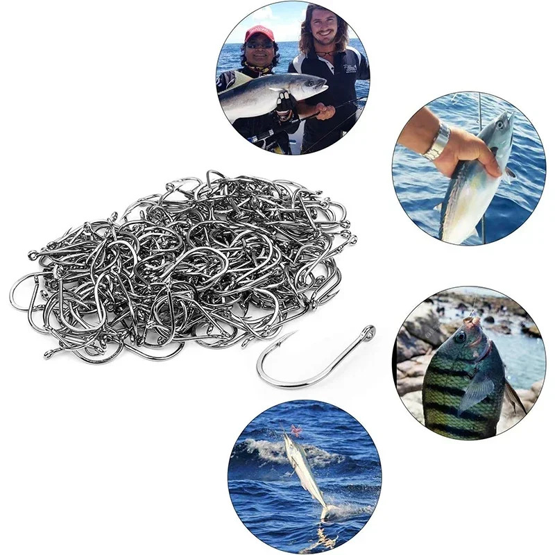 50-1600 unids/caja anzuelos de - Fishing Hook Assortment reseña y precio