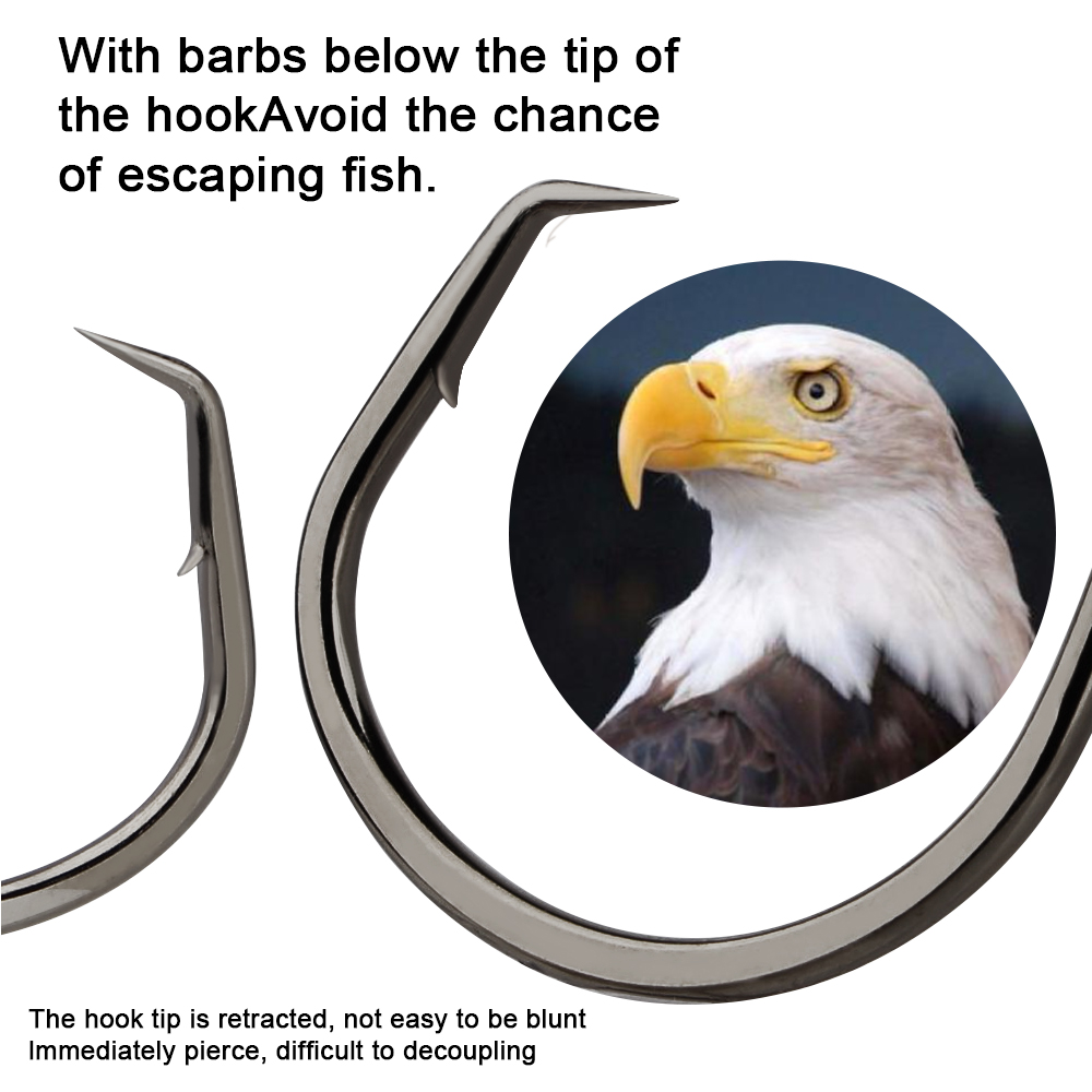 Anzuelos de pesca FTK, anzuelo - Fishing Hook Circle reseña y precio